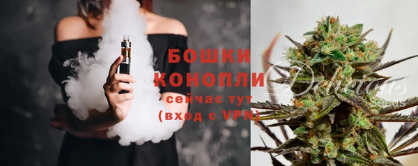 ALPHA-PVP Гусев