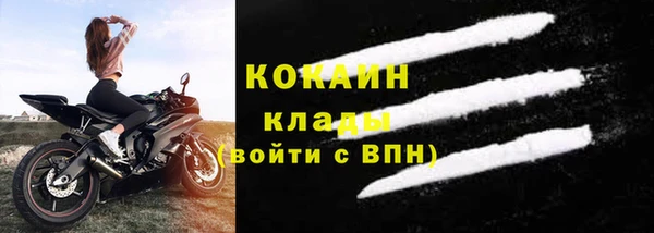 ALPHA-PVP Гусев