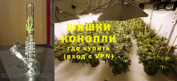 ALPHA-PVP Гусев