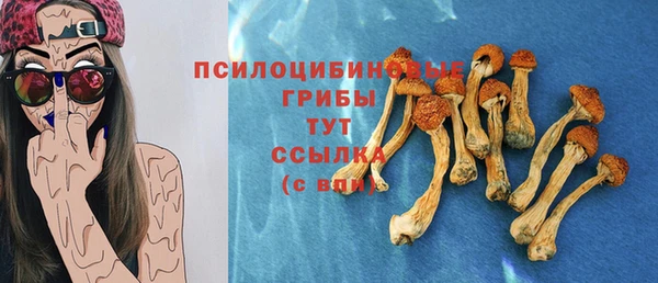 MESCALINE Гусь-Хрустальный