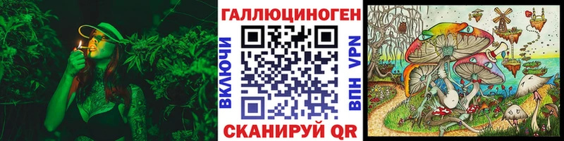 Псилоцибиновые грибы GOLDEN TEACHER  Купить закладки  Солнечногорск 